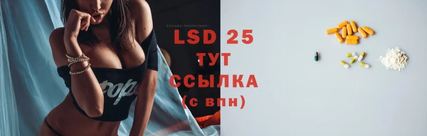 дживик Аркадак