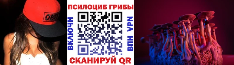 магазин продажи наркотиков  Кологрив  Галлюциногенные грибы Psilocybine cubensis 